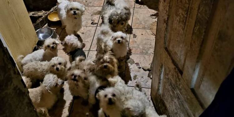 353 266794 2025 05 20 152126