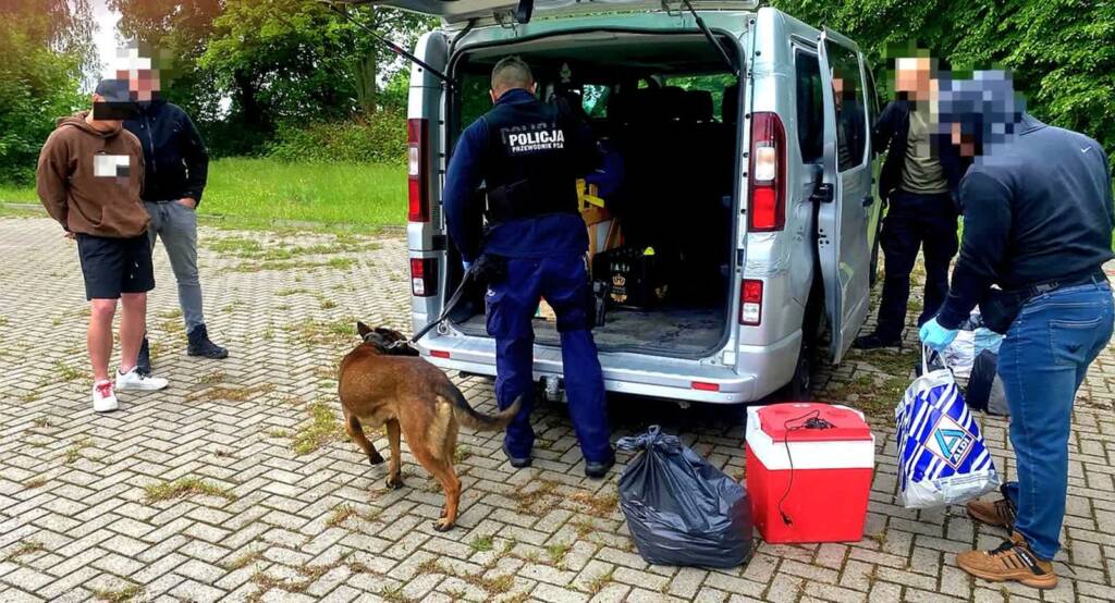 354 267104 g 2025 05 26 123140