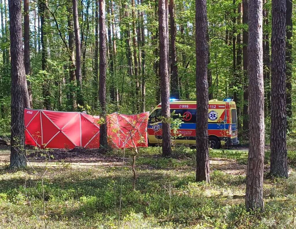 494580625 609817992084082 3221131103414368670 n 2025 05 02 194447