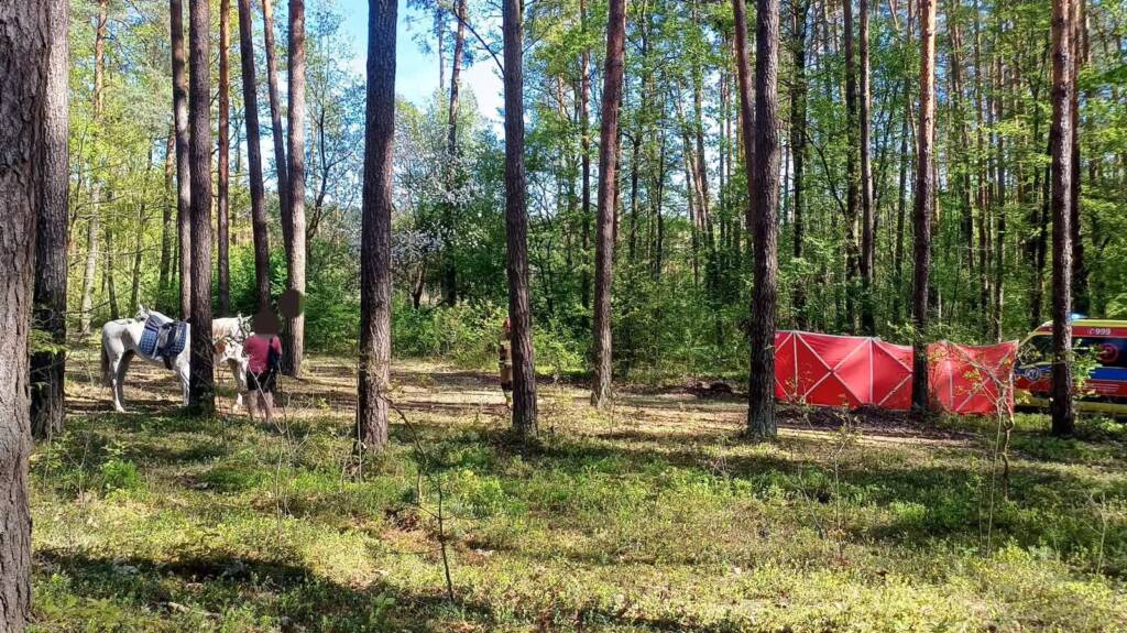 494642473 609818132084068 3730071264260056367 n 2025 05 03 124954