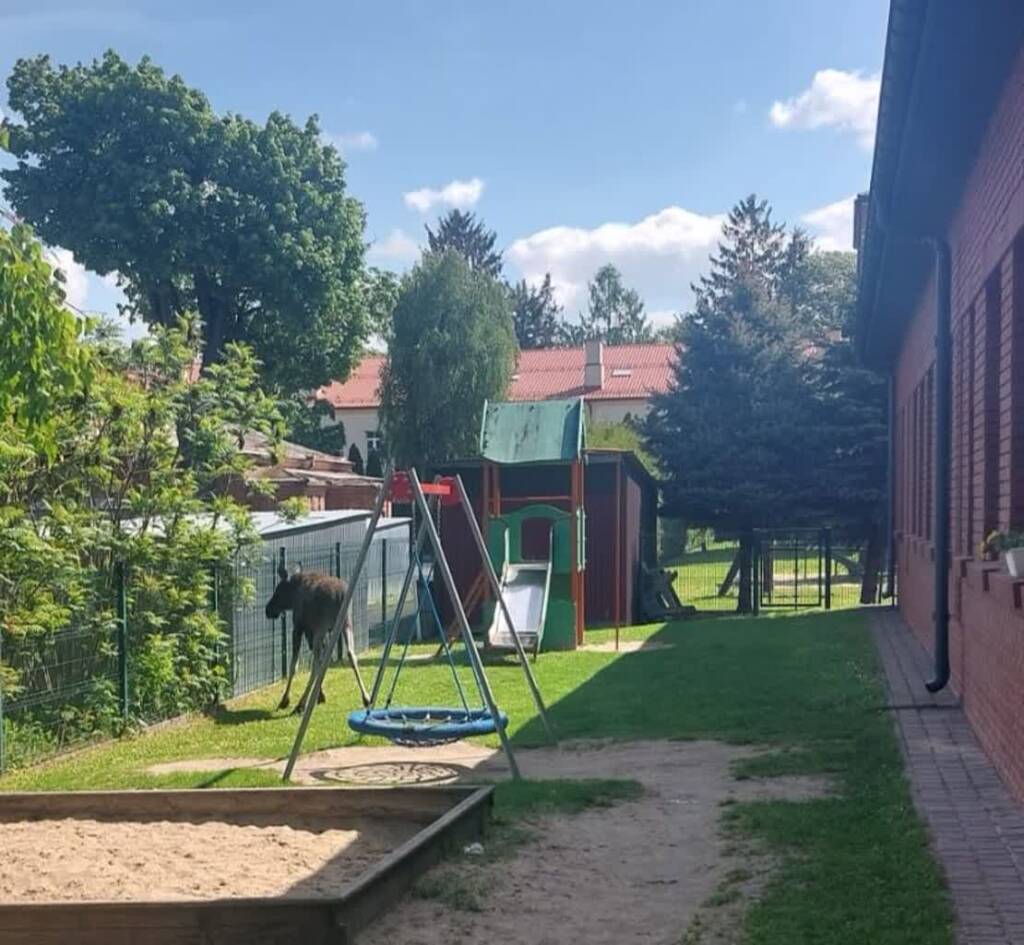 495372386 1003608938622188 3847657804224740167 n 2025 05 07 143917