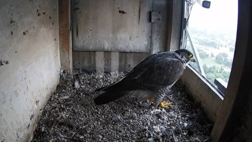 495476373 23958055977111877 7370129469549304153 n 2025 05 10 094340