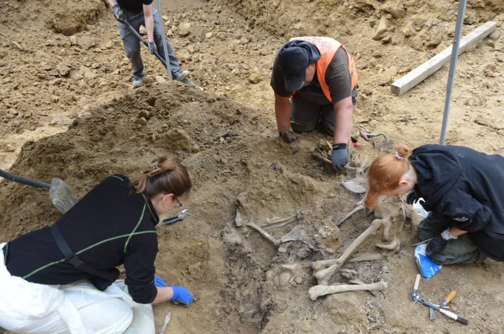 Górki Czechowskie: kolejny etap prac poszukiwawczych IPN 2 499591927 1128610759294056 6162528865002022990 n 2025 05 26 205812