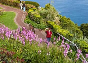 502423921 1319105173010015 6836740004419445021 n 2025 05 31 121516