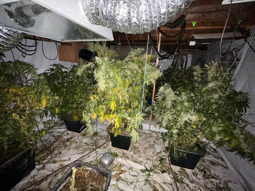 68 266992 g 2025 05 24 133236