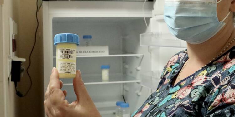 7dea74e3 a829 4df4 b413 e0d0e22bc715 2025 05 26 171441