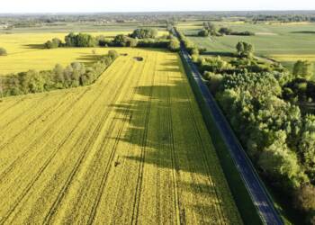 dji 0397 2025 05 02 180557