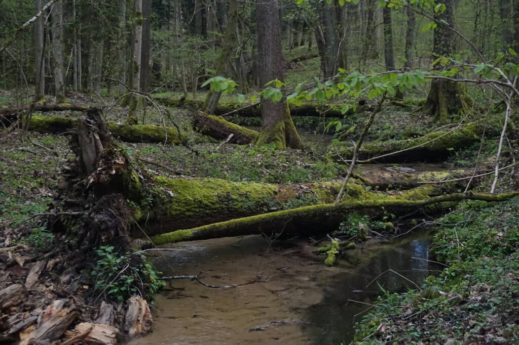 dsc03493 2025 05 02 153801