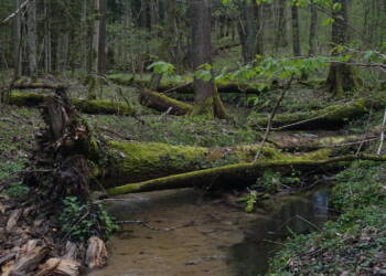 dsc03493 2025 05 02 153801