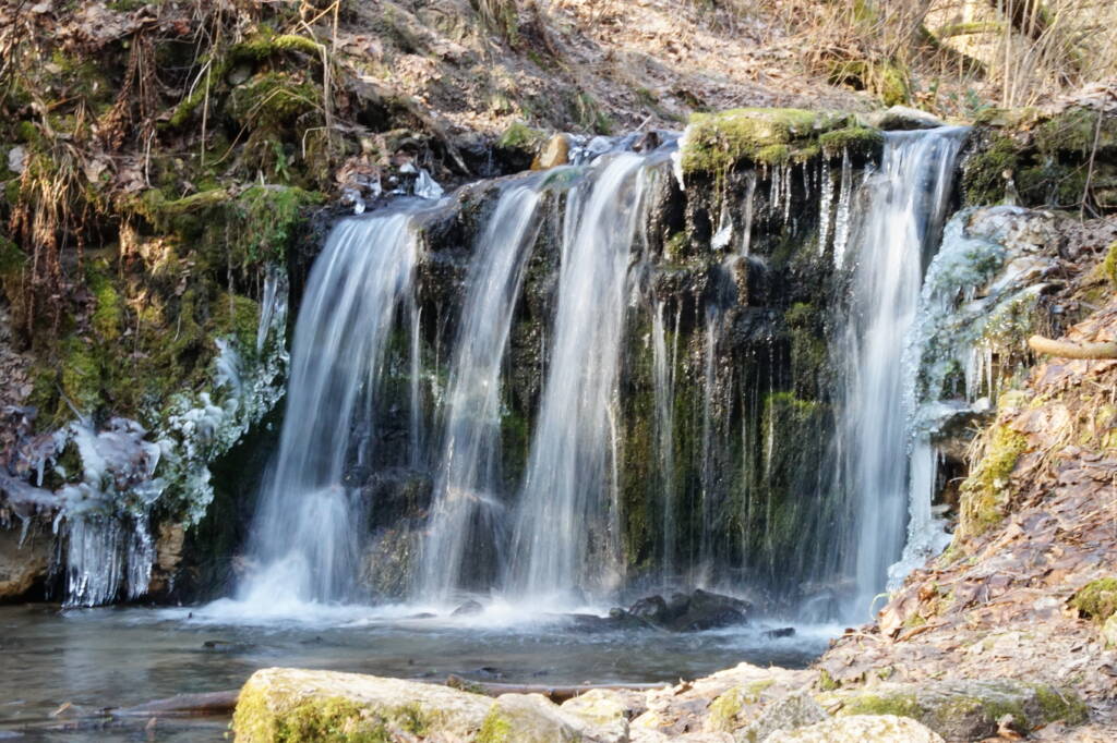 dsc06906 2025 05 02 092420