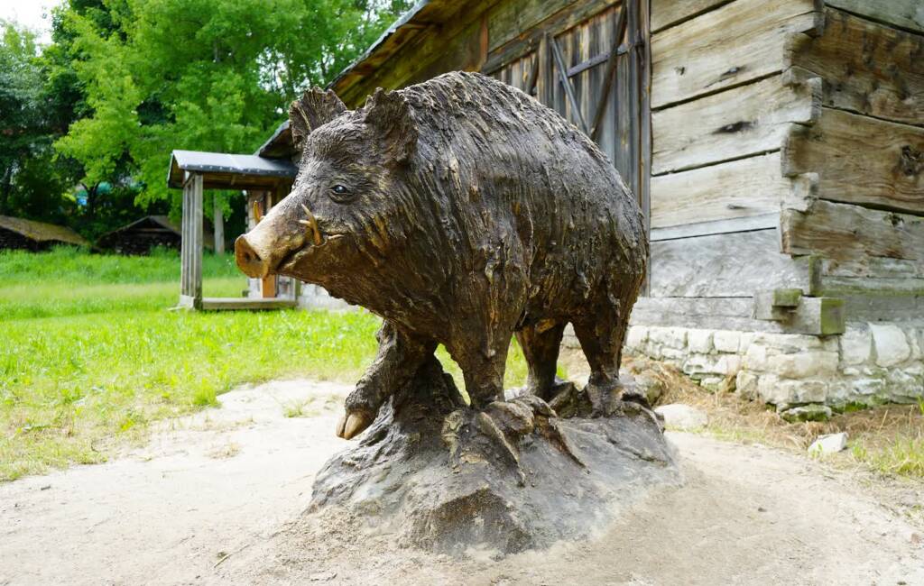 dsc09733 2025 05 30 150433