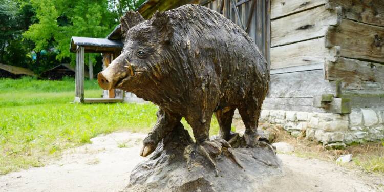 dsc09733 2025 05 30 150433