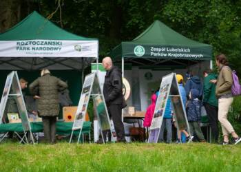 dsc 0299 2025 05 24 171642