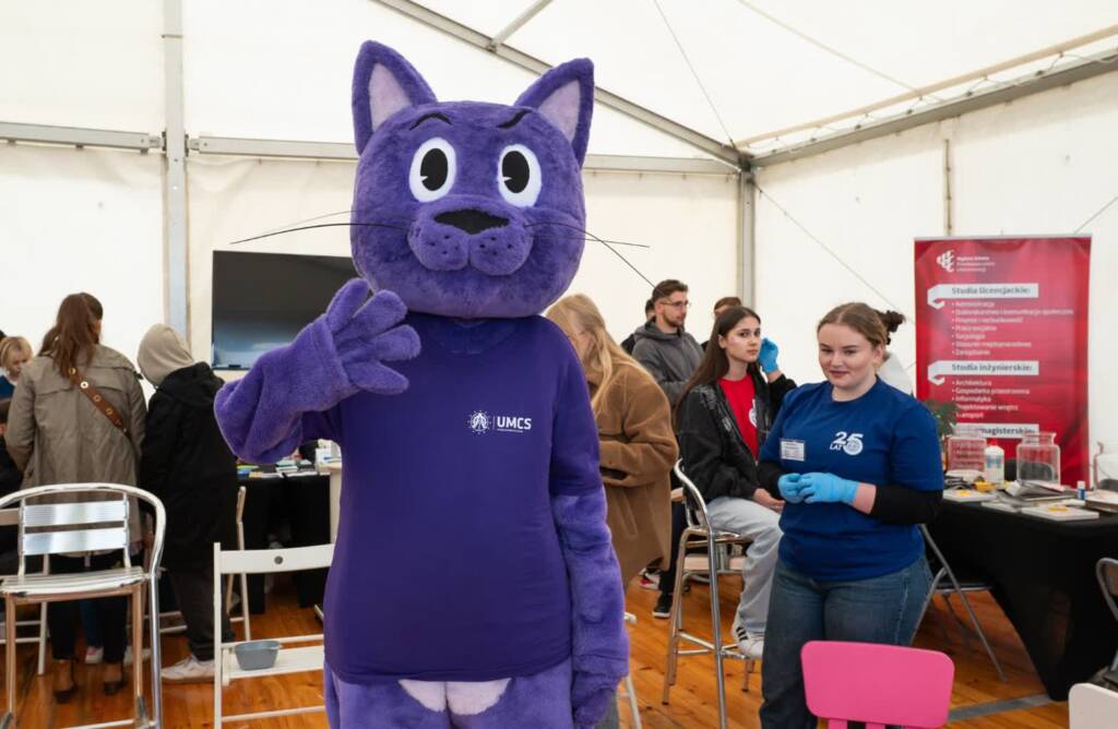 dsc 0382 2025 05 24 173242