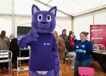 dsc 0382 2025 05 24 173242