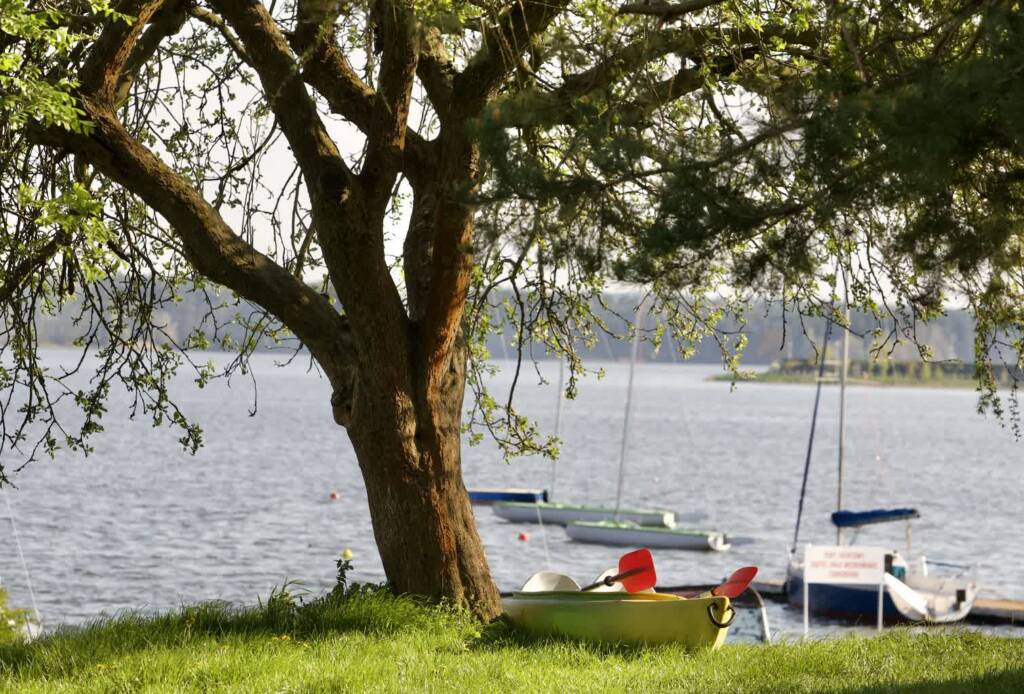 f039dadd 65a9 4cfc bd03 7755e539e702 2025 05 03 093842