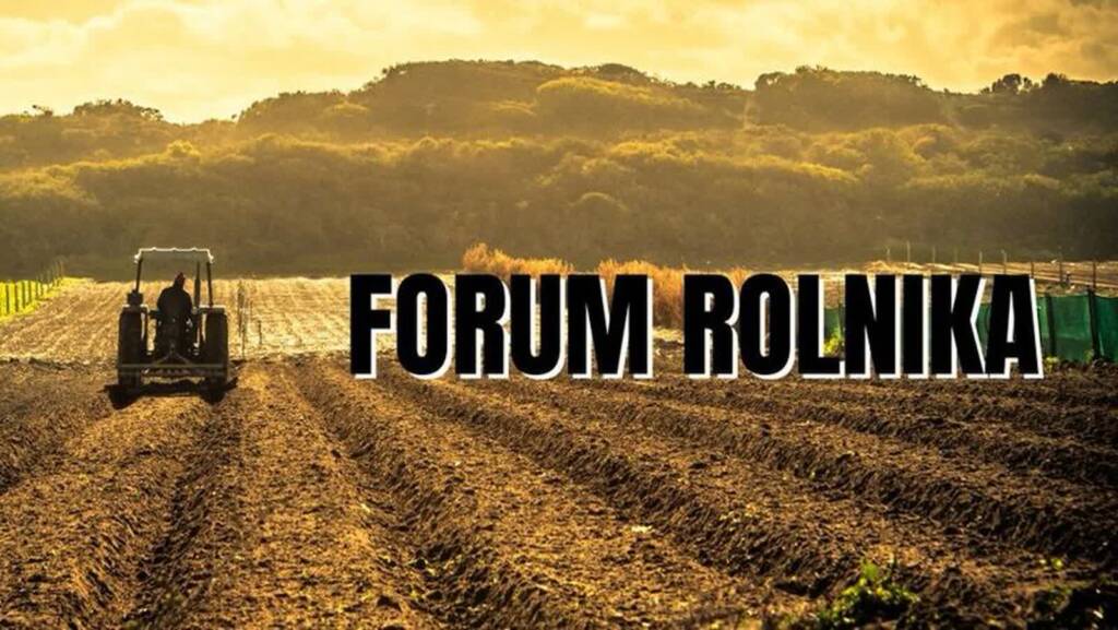 forum 1 2025 05 02 152259