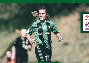 gornik 15 2025 05 24 162117