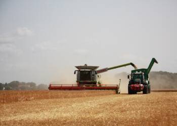 harvest 8192037 1280 2025 05 18 103600