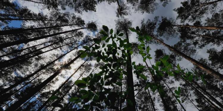 img 20210605 014540 2023 04 30 085652 scaled 2025 05 20 212905