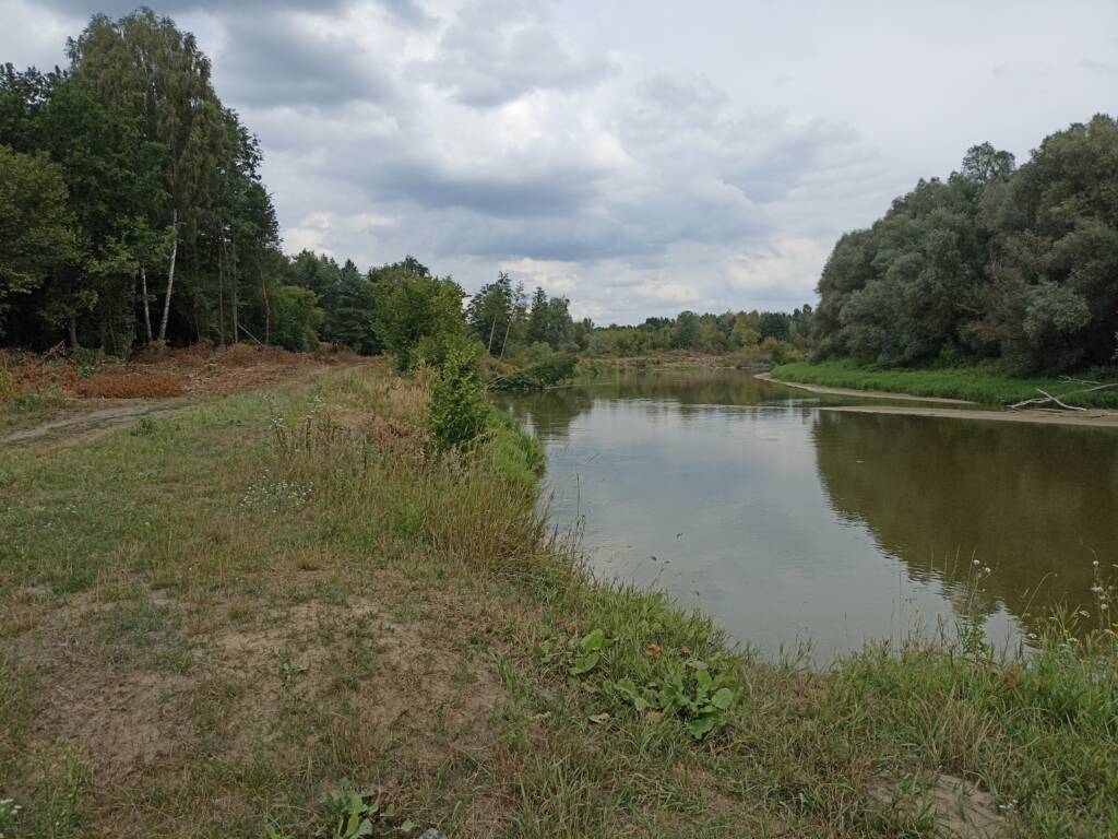 img 20240808 122824 2025 05 12 132500