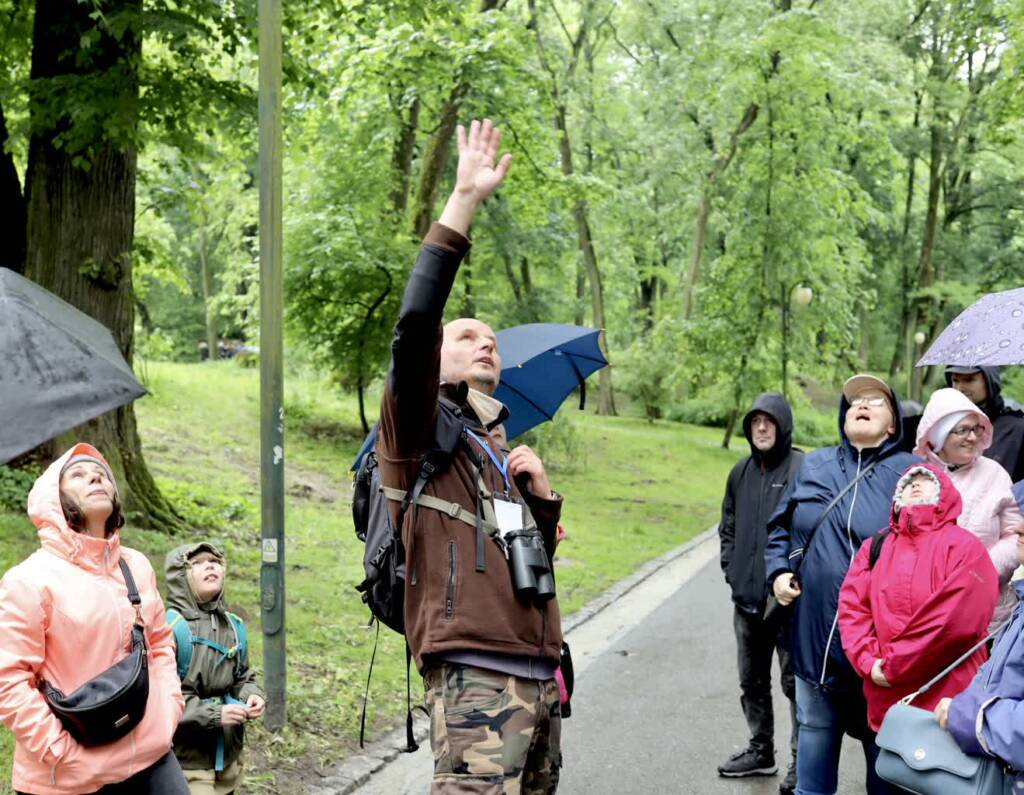 img 2893 2025 05 26 234850