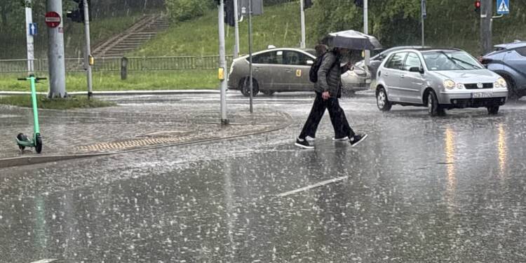 img 5653 2025 05 29 101424