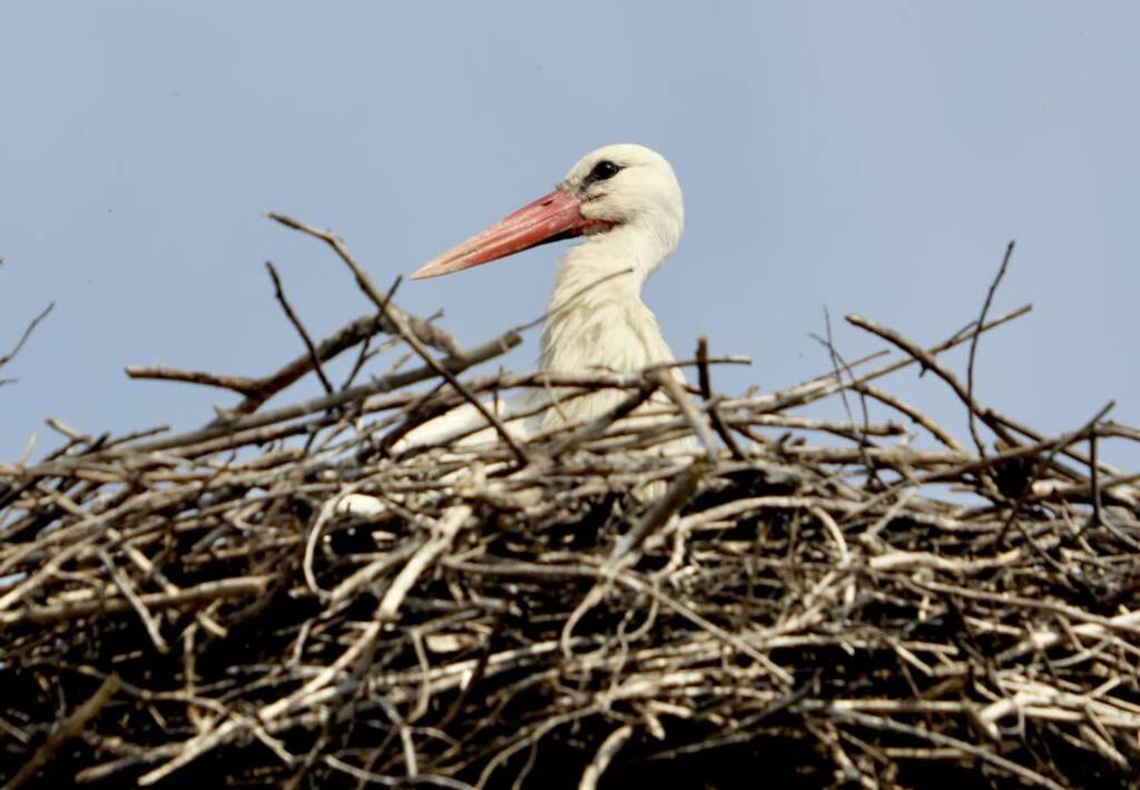 img 9326 2025 05 03 073151