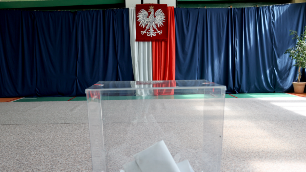 img 9843 2025 05 13 101630