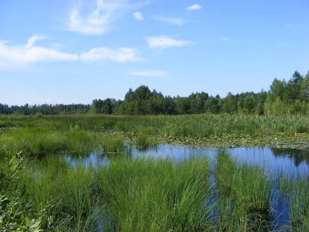 lakes 4599668 1280 2025 05 13 200236