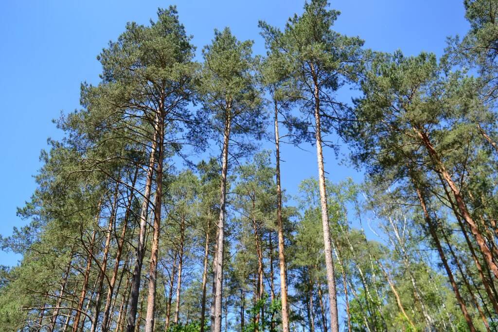 landscape 5334708 1280 2025 05 02 124127