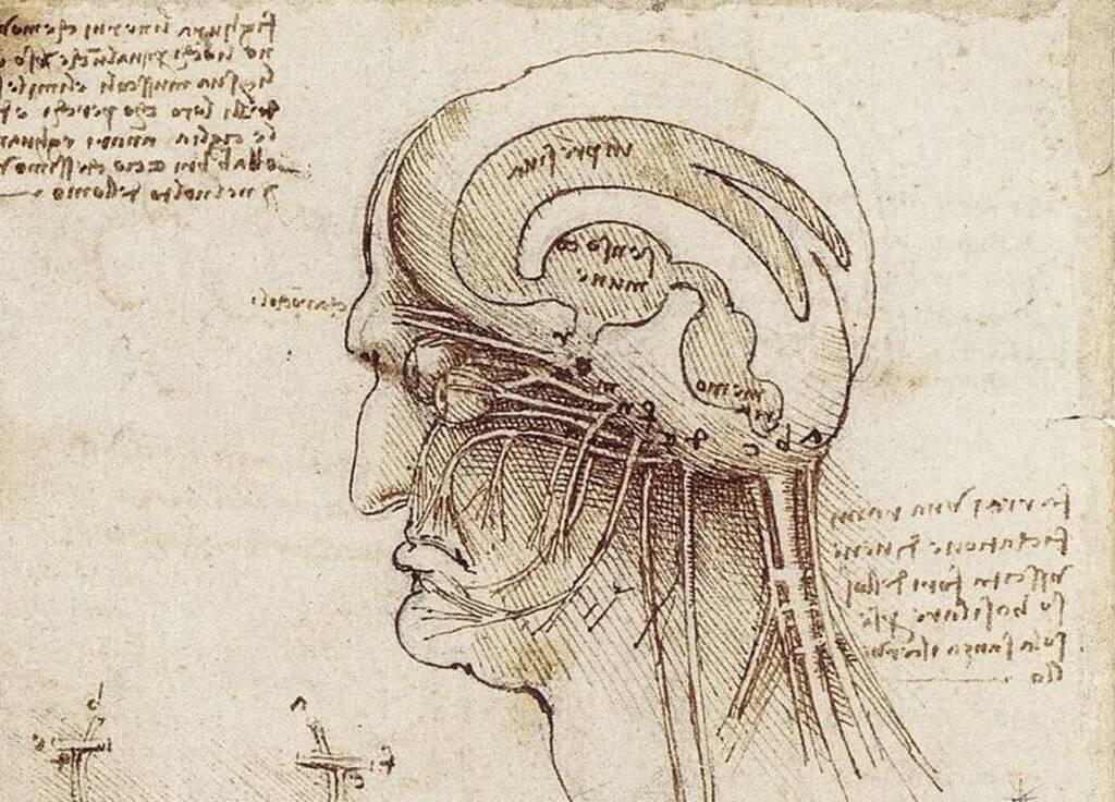 Zdolne Szelmy odc. 19 - Anatomiczne poszukiwania Leonarda 1 leonardo da vincis brain physiology 2025 05 20 105816