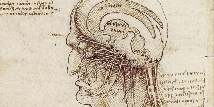 Zdolne Szelmy odc. 19 - Anatomiczne poszukiwania Leonarda 1 leonardo da vincis brain physiology 2025 05 20 105816