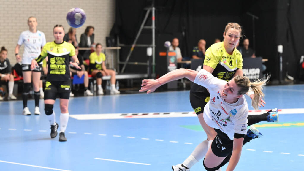 mid 25504259 2025 05 04 163835