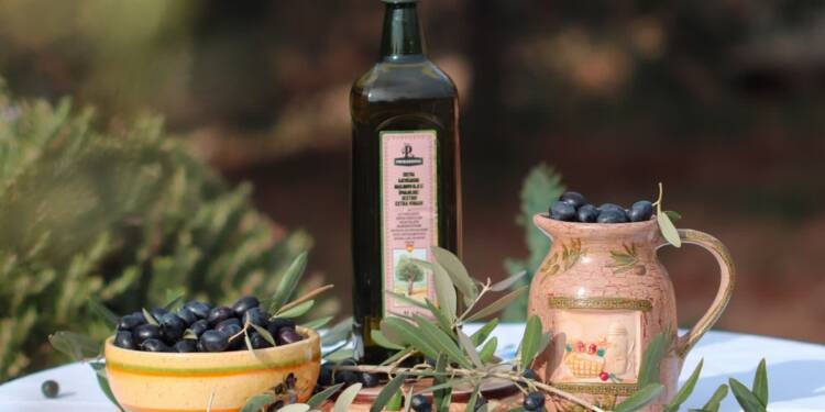 olives 6784843 1280 2025 05 07 094931