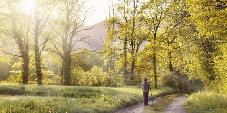 path 1577192 1280 2025 05 01 114925