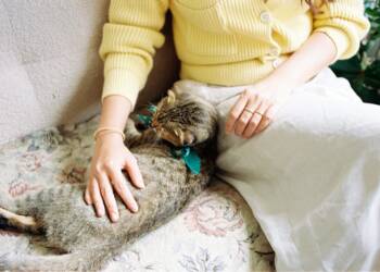 pexels nam quan nguy n 459228913 21365391 2025 05 28 074548