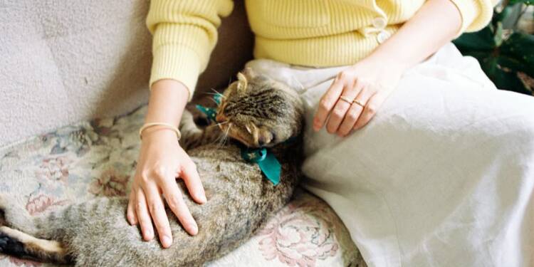 pexels nam quan nguy n 459228913 21365391 2025 05 28 074548