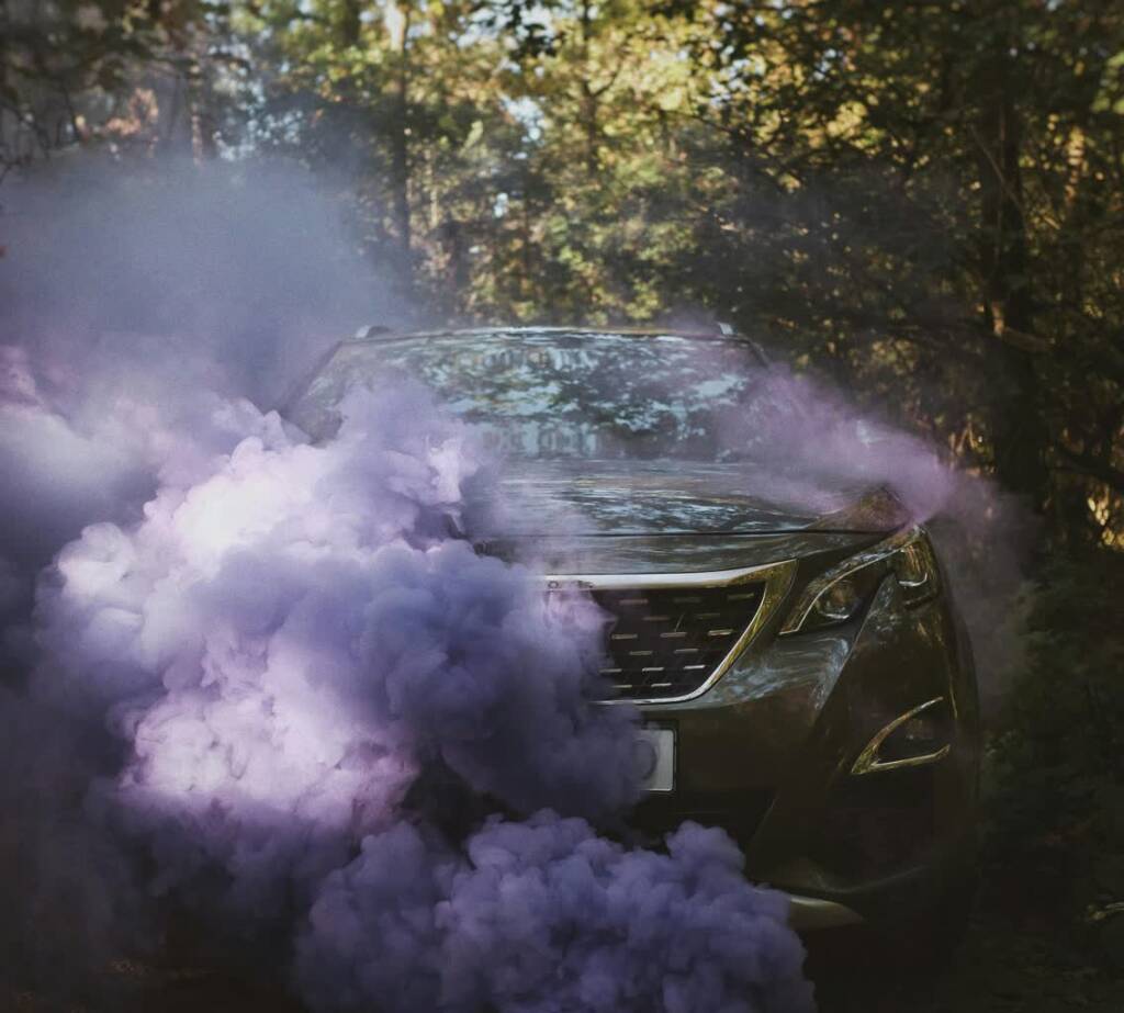 pexels olenkabohovyk 3646108 2025 05 02 061015