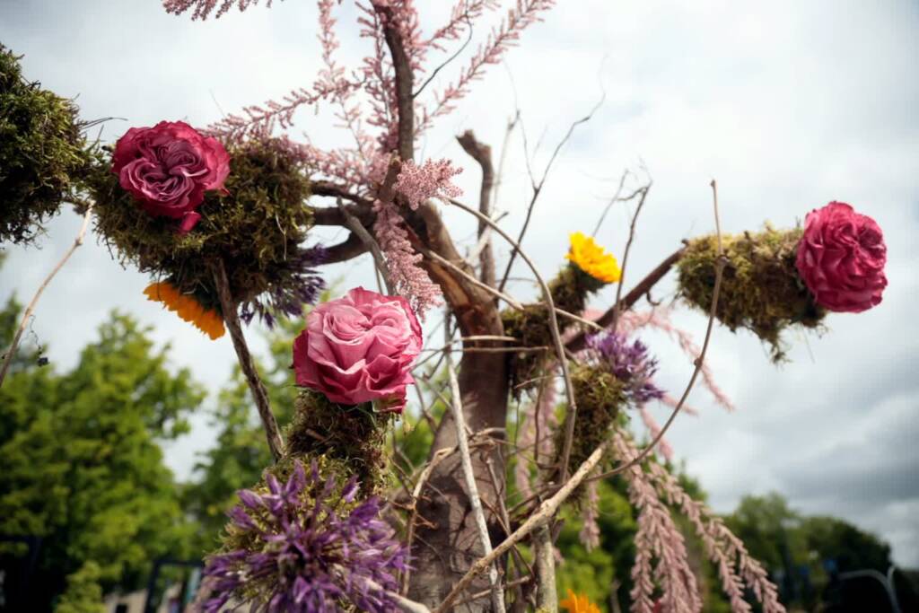 pm weekend 170525 012 2025 05 18 005857