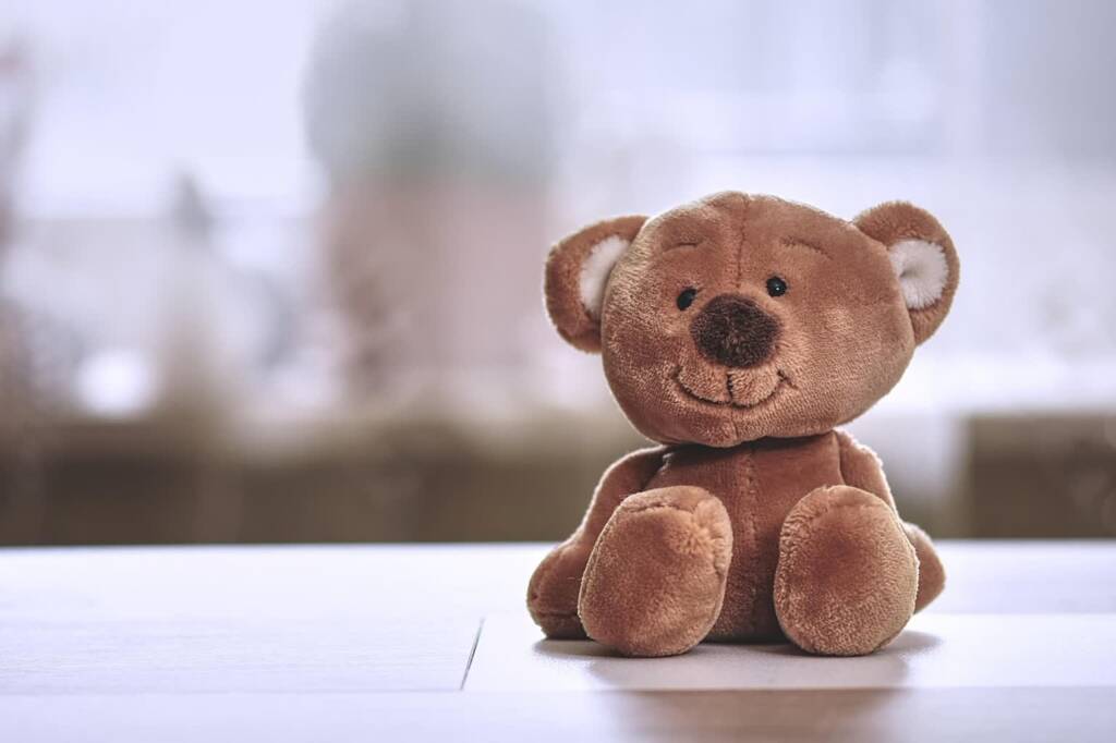 teddy 4163734 1280 2025 05 24 080749