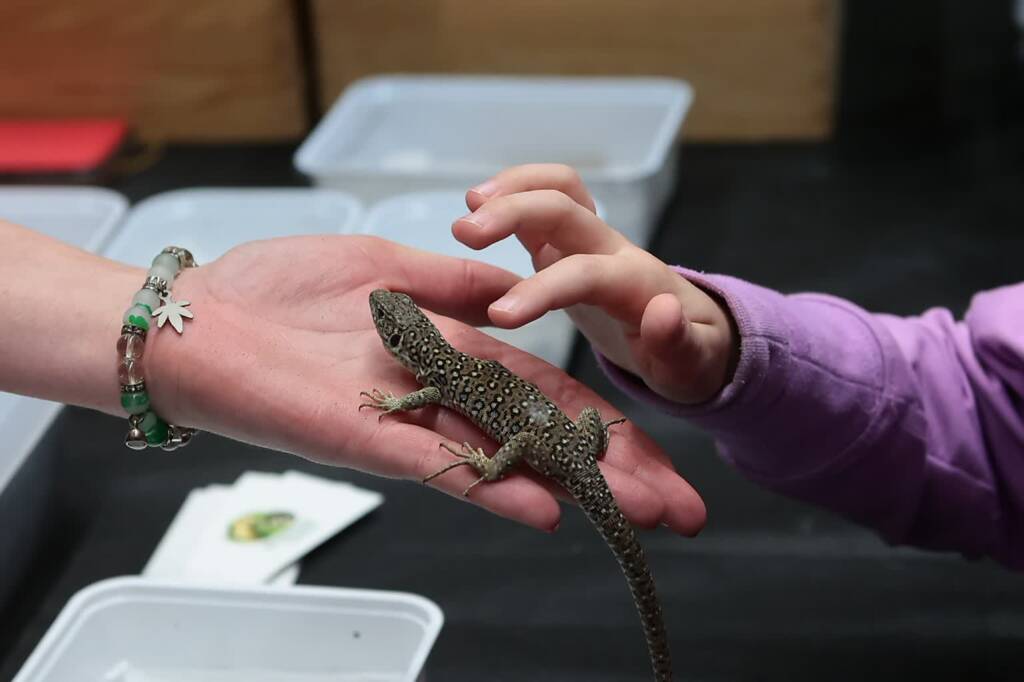 terra 250525 028 2025 05 25 231045