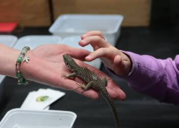 terra 250525 028 2025 05 25 231045