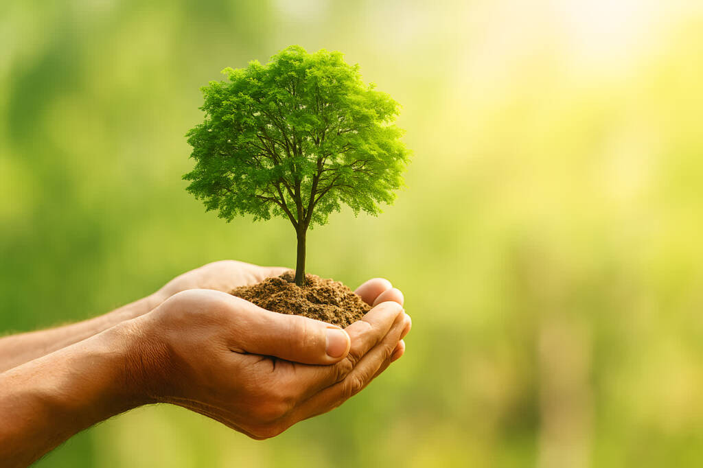 tree 9532251 1280 2025 05 06 135254