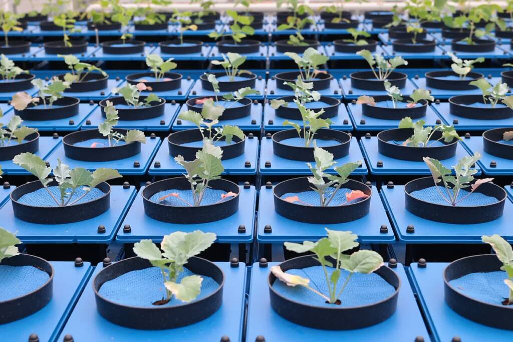 up 060525 005.jpg 2025 05 06 170950