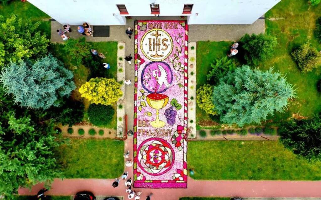 W Świdniku można podziwiać... kwiatowy dywan 1 1 2025 06 19 215809