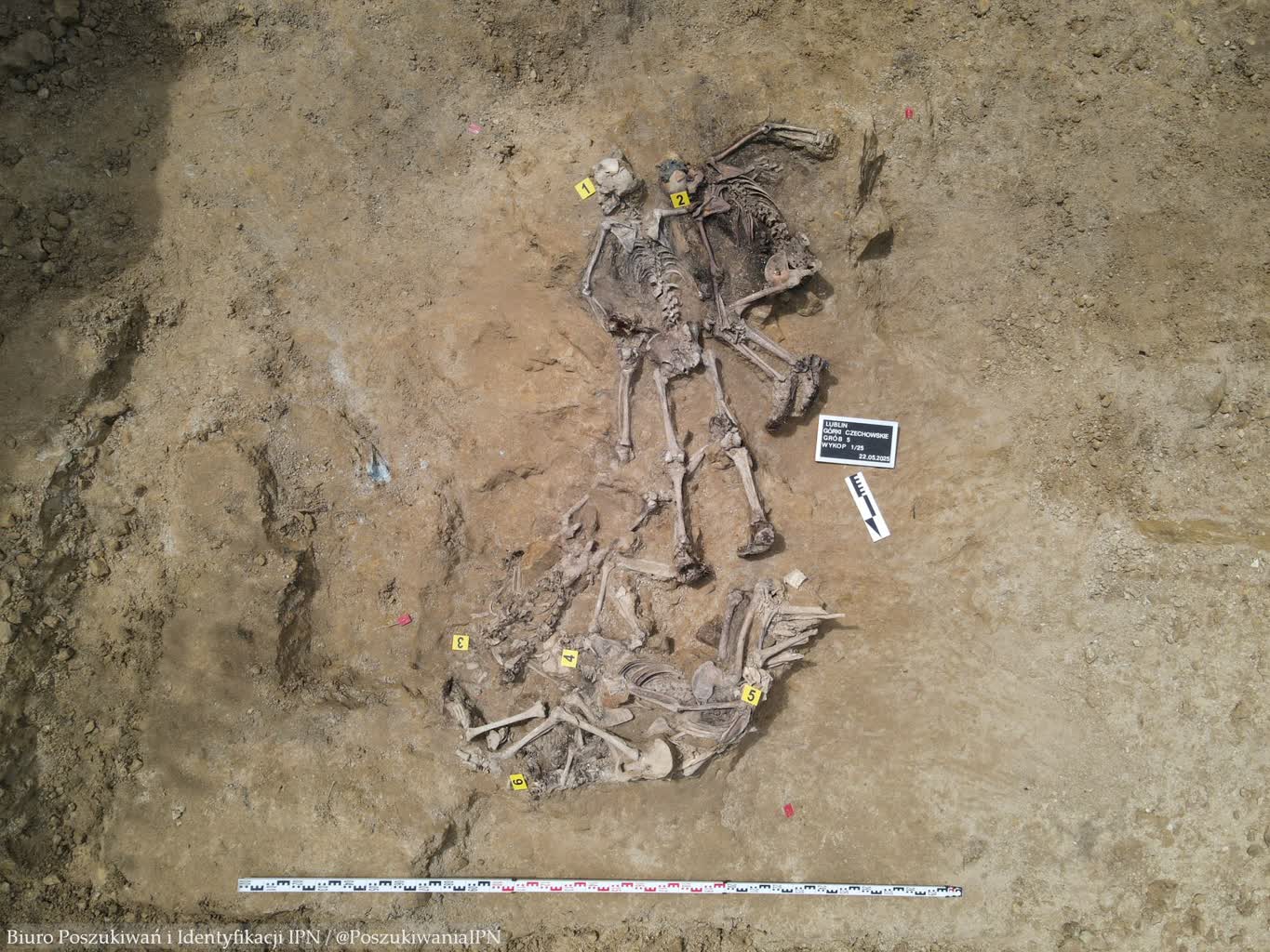 IPN na Górkach Czechowskich. Odnaleziono kolejne szczątki 7 103-77331.jpg
