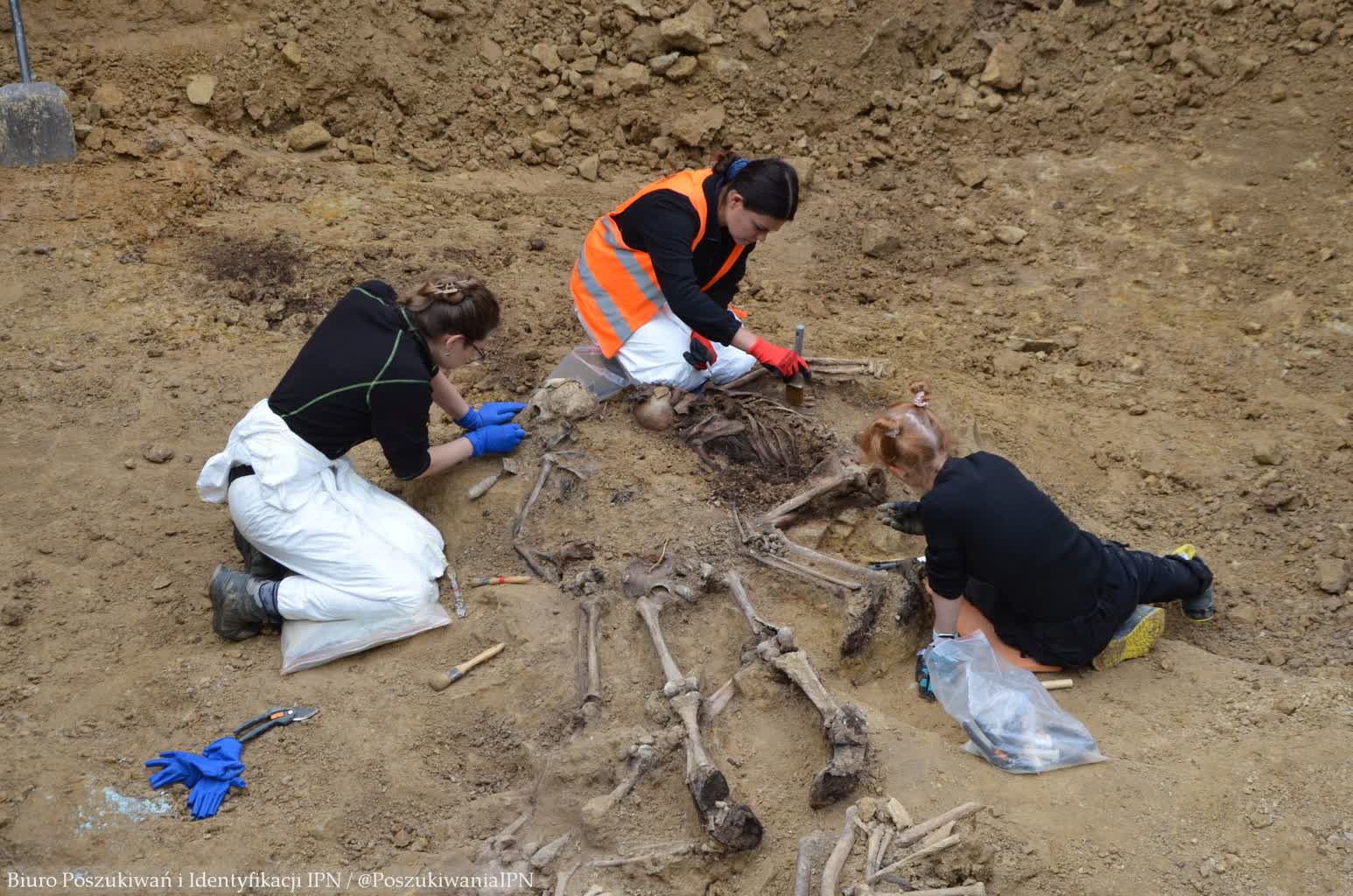 IPN na Górkach Czechowskich. Odnaleziono kolejne szczątki 2 103-77343.jpg