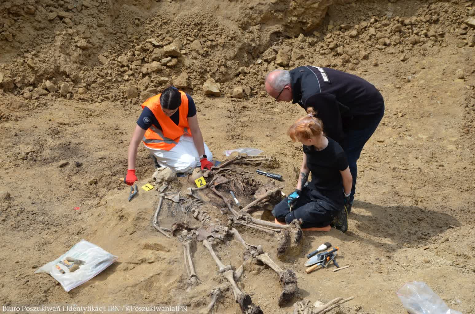 IPN na Górkach Czechowskich. Odnaleziono kolejne szczątki 6 103-77346.jpg