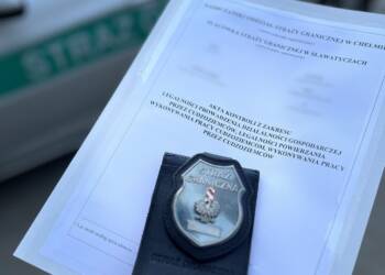 12 323940 2025 06 20 222001